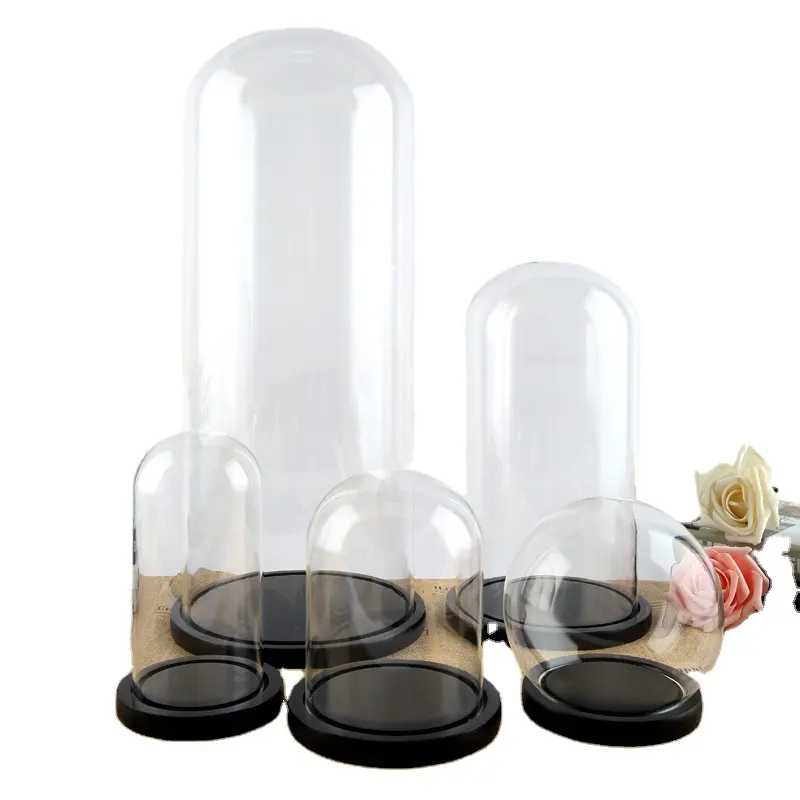 Glass Dome